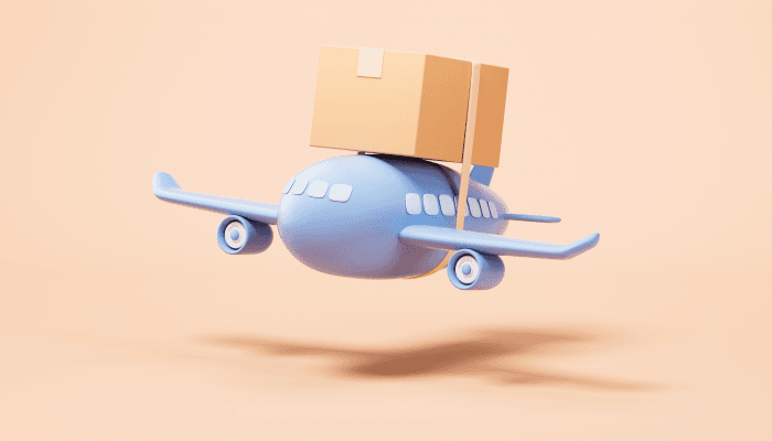 Hızlı e-ihracatı temsil eden, üzerinde kargo kutusu taşıyan 3D uçak görseli.